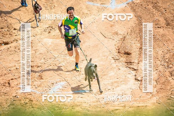 Achetez vos photos de l'vnementTreino Premiado de Canicross sur Fotop