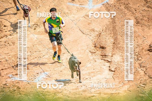 Achetez vos photos de l'vnementTreino Premiado de Canicross sur Fotop