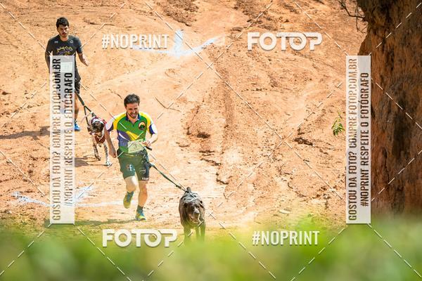 Achetez vos photos de l'vnementTreino Premiado de Canicross sur Fotop