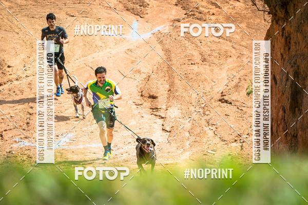 Achetez vos photos de l'vnementTreino Premiado de Canicross sur Fotop