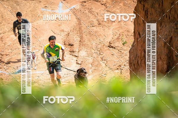 Achetez vos photos de l'vnementTreino Premiado de Canicross sur Fotop