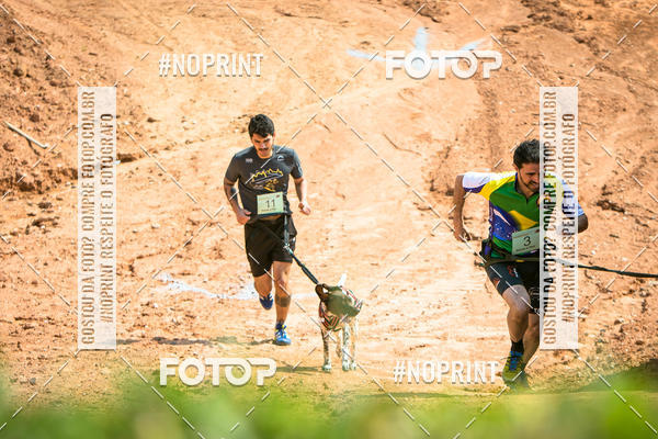 Achetez vos photos de l'vnementTreino Premiado de Canicross sur Fotop