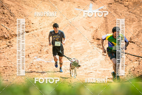 Achetez vos photos de l'vnementTreino Premiado de Canicross sur Fotop