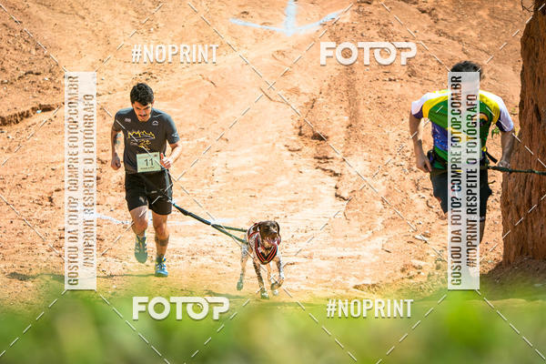 Achetez vos photos de l'vnementTreino Premiado de Canicross sur Fotop