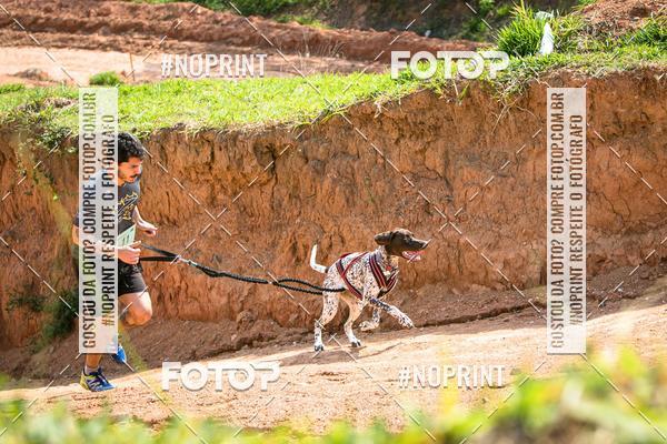 Achetez vos photos de l'vnementTreino Premiado de Canicross sur Fotop