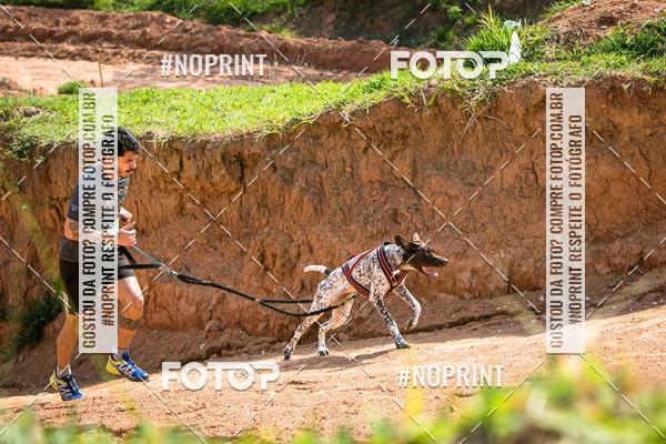 Achetez vos photos de l'vnementTreino Premiado de Canicross sur Fotop