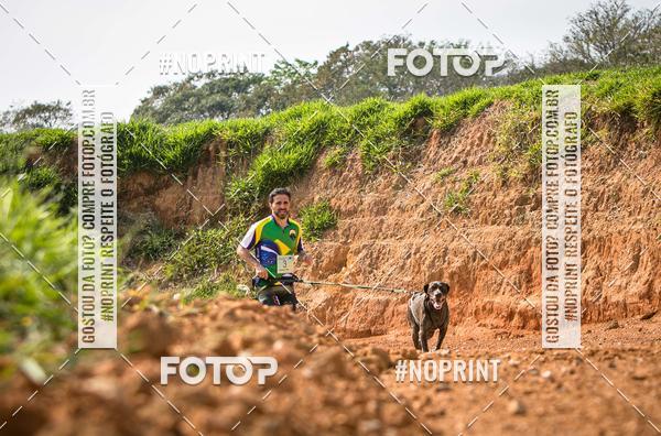 Achetez vos photos de l'vnementTreino Premiado de Canicross sur Fotop