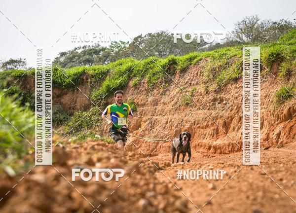 Achetez vos photos de l'vnementTreino Premiado de Canicross sur Fotop