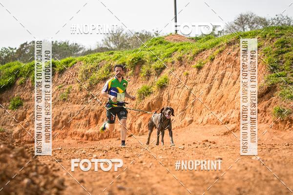 Compra tus fotos del eventoTreino Premiado de Canicross En Fotop