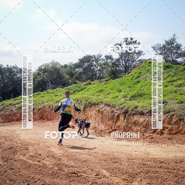 Achetez vos photos de l'vnementTreino Premiado de Canicross sur Fotop