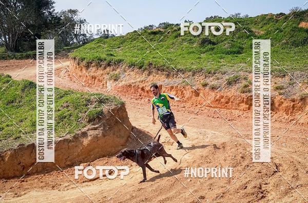 Buy your photos of the eventTreino Premiado de Canicross on Fotop