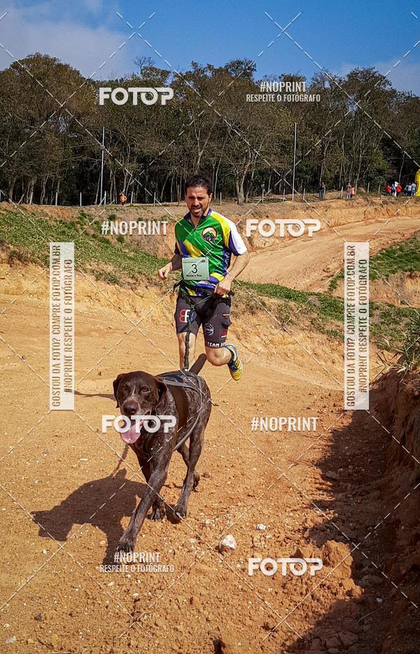 Compra tus fotos del eventoTreino Premiado de Canicross En Fotop