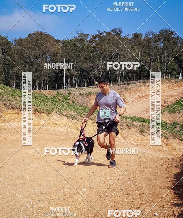 Achetez vos photos de l'vnementTreino Premiado de Canicross sur Fotop