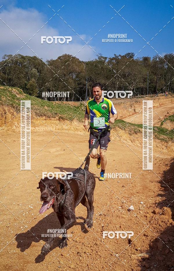 Compra tus fotos del eventoTreino Premiado de Canicross En Fotop