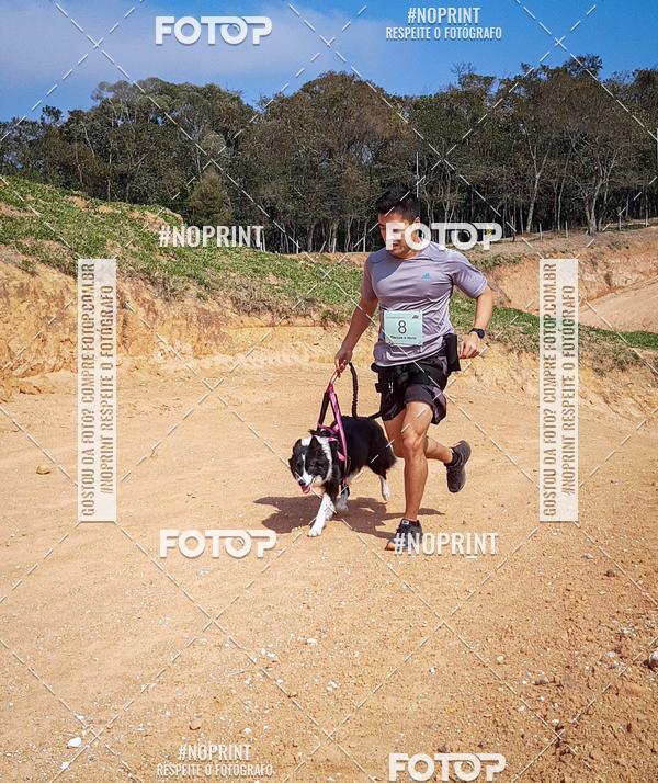 Achetez vos photos de l'vnementTreino Premiado de Canicross sur Fotop