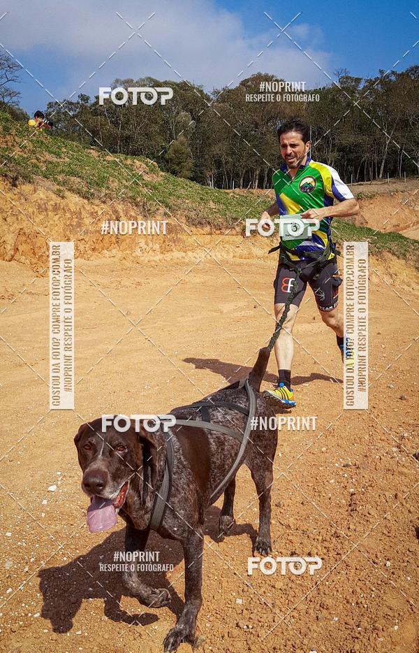 Compra tus fotos del eventoTreino Premiado de Canicross En Fotop