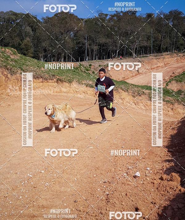 Compra tus fotos del eventoTreino Premiado de Canicross En Fotop