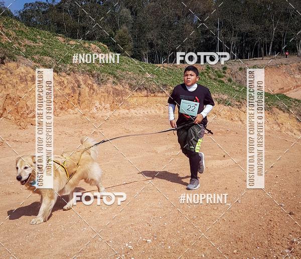 Compra tus fotos del eventoTreino Premiado de Canicross En Fotop