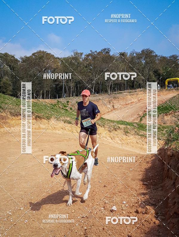 Buy your photos of the eventTreino Premiado de Canicross on Fotop