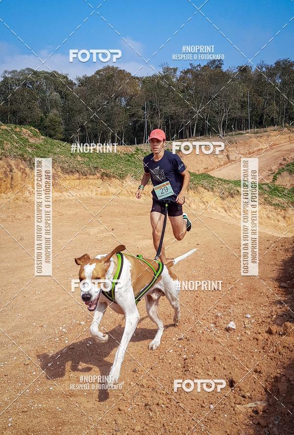 Buy your photos of the eventTreino Premiado de Canicross on Fotop