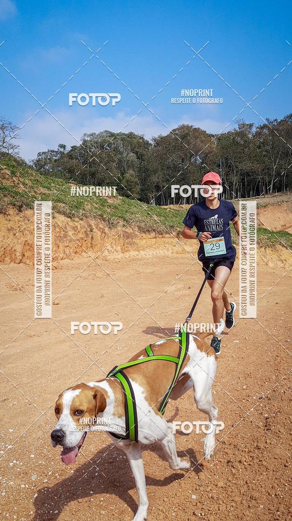 Buy your photos of the eventTreino Premiado de Canicross on Fotop