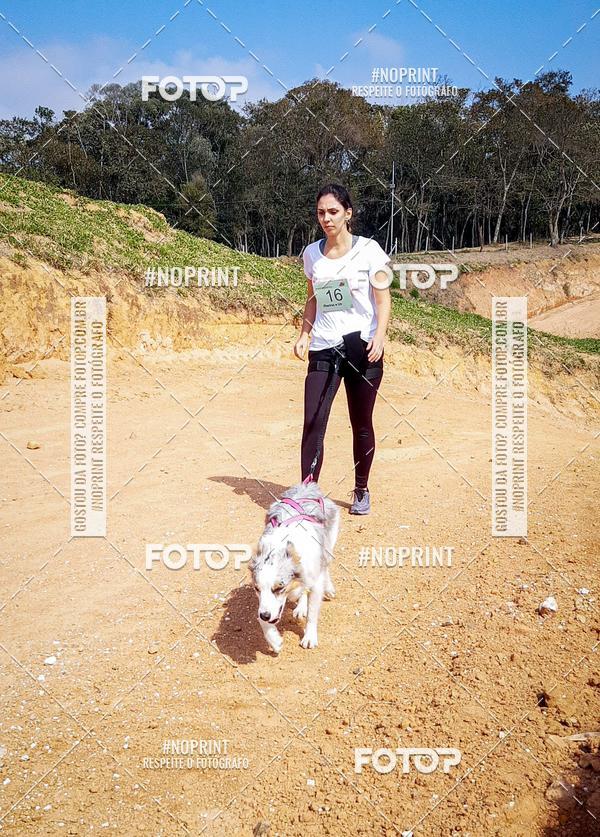 Buy your photos of the eventTreino Premiado de Canicross on Fotop