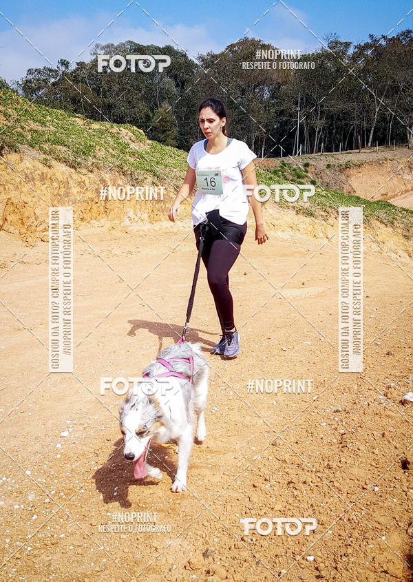 Buy your photos of the eventTreino Premiado de Canicross on Fotop