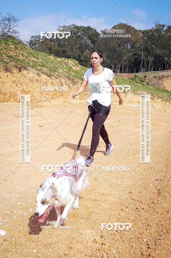 Buy your photos of the eventTreino Premiado de Canicross on Fotop