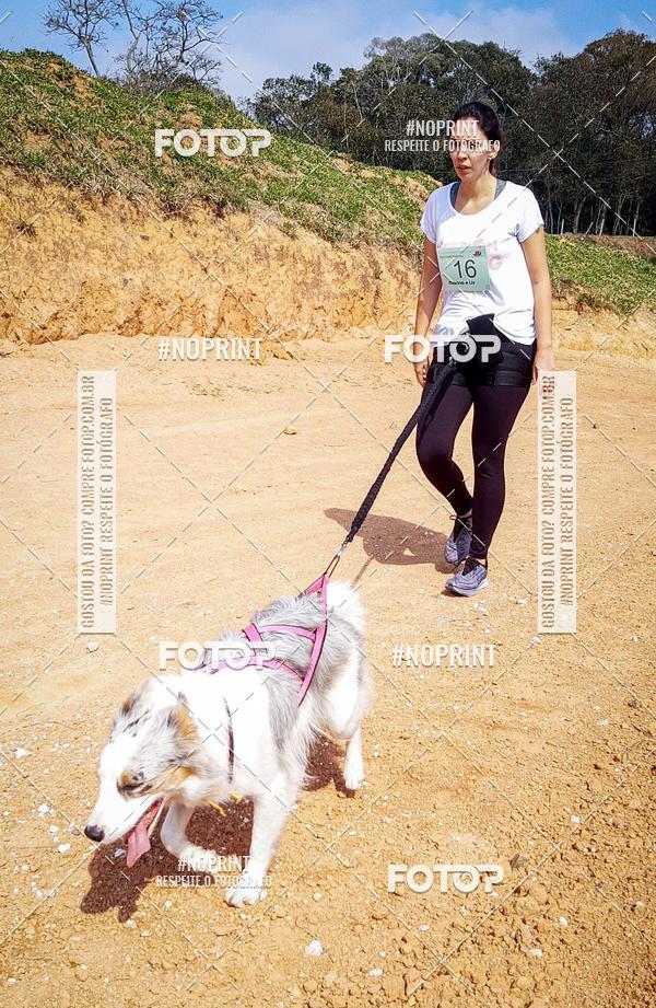 Buy your photos of the eventTreino Premiado de Canicross on Fotop