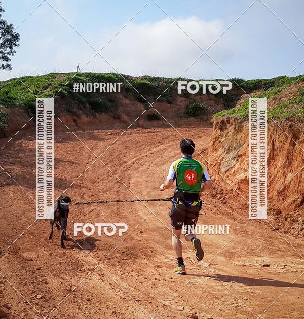 Compra tus fotos del eventoTreino Premiado de Canicross En Fotop