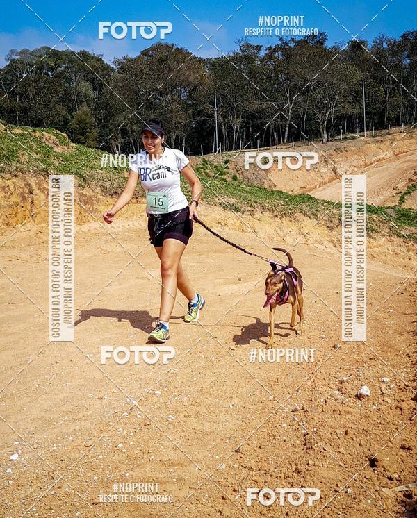 Buy your photos of the eventTreino Premiado de Canicross on Fotop
