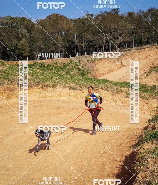 Buy your photos of the eventTreino Premiado de Canicross on Fotop