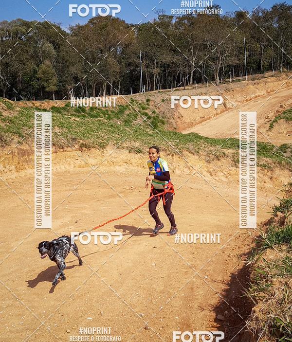 Buy your photos of the eventTreino Premiado de Canicross on Fotop
