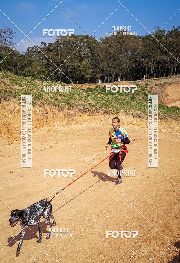 Buy your photos of the eventTreino Premiado de Canicross on Fotop