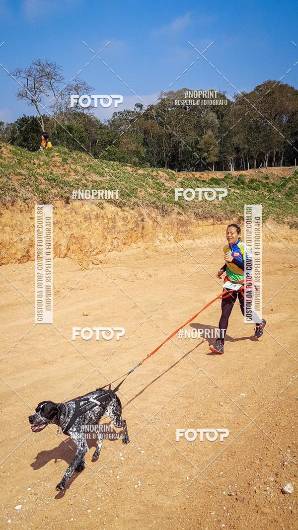 Buy your photos of the eventTreino Premiado de Canicross on Fotop