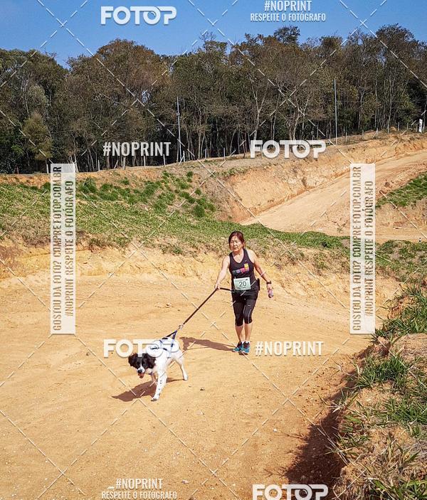 Buy your photos of the eventTreino Premiado de Canicross on Fotop