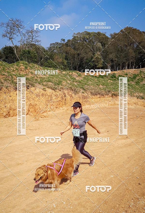 Achetez vos photos de l'vnementTreino Premiado de Canicross sur Fotop