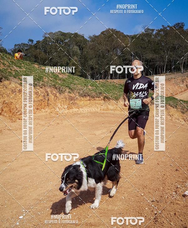 Compra tus fotos del eventoTreino Premiado de Canicross En Fotop