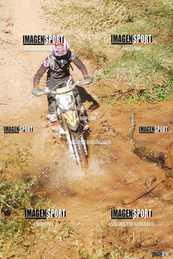 Compre suas fotos do evento8 Trilho das Abeias no Fotop