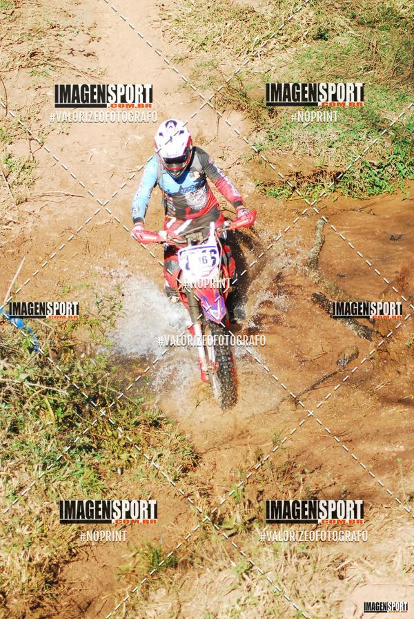 Compre as suas fotos do evento8 Trilho das Abeias no Fotop