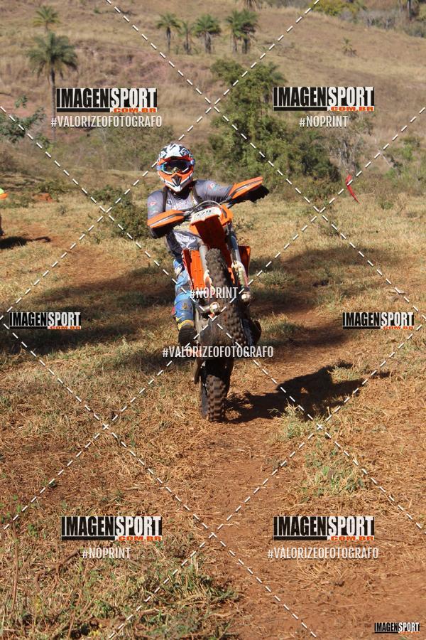 Compre as suas fotos do evento8 Trilho das Abeias no Fotop