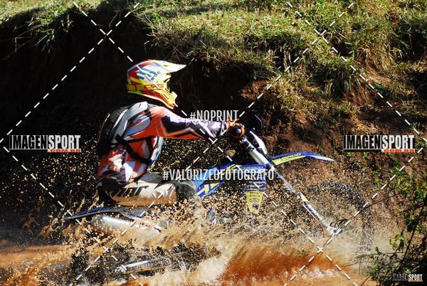 Buy your photos of the event8 Trilho das Abeias on Fotop