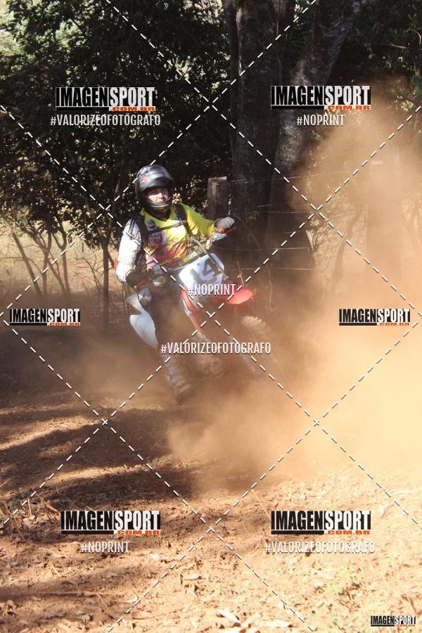 Buy your photos of the event8 Trilho das Abeias on Fotop