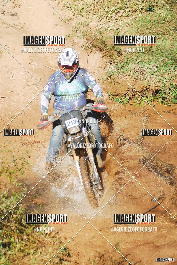 Acquista le foto dell'evento8 Trilho das Abeias in Fotop