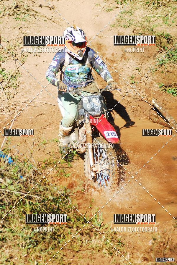 Acquista le foto dell'evento8 Trilho das Abeias in Fotop