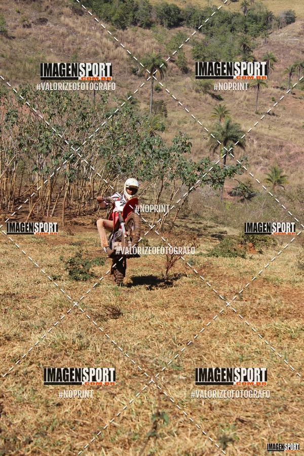 Buy your photos of the event8 Trilho das Abeias on Fotop