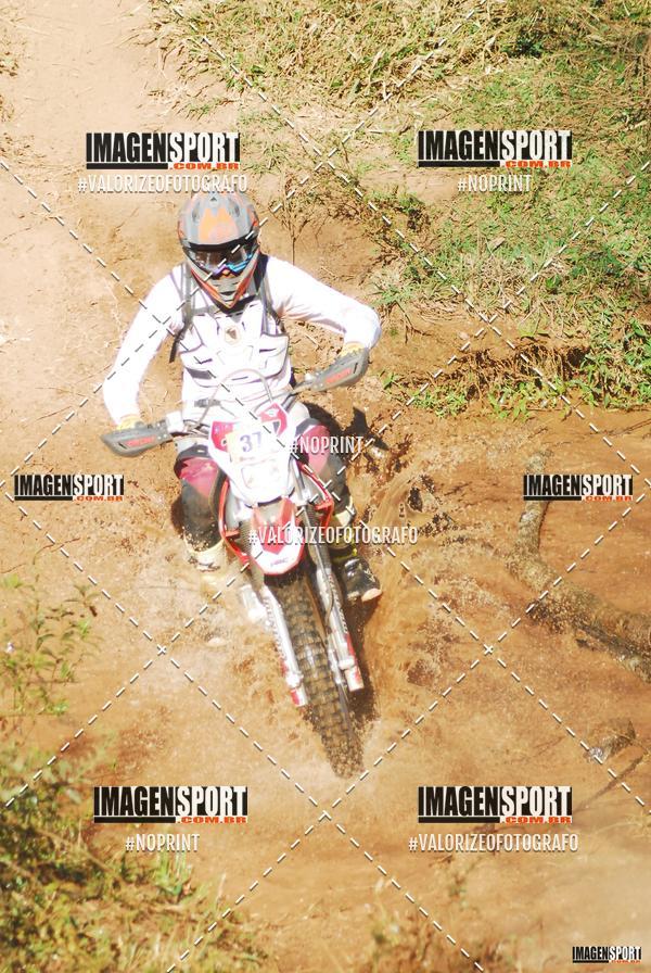 Buy your photos of the event8 Trilho das Abeias on Fotop