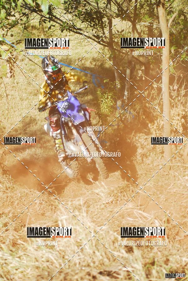 Compre as suas fotos do evento8 Trilho das Abeias no Fotop