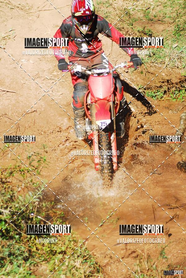 Compre as suas fotos do evento8 Trilho das Abeias no Fotop