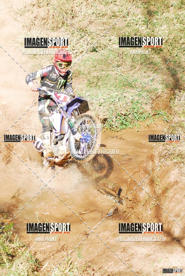 Compre as suas fotos do evento8 Trilho das Abeias no Fotop